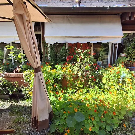 Casetta Degli Ulivi Casa de férias
